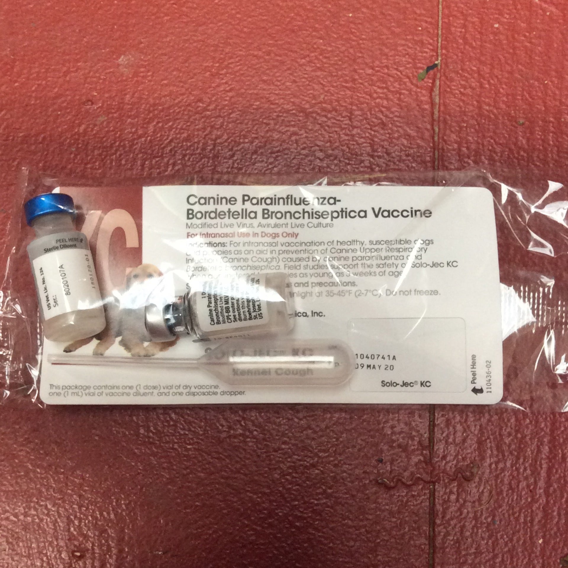 Kennel Cough Bordetella Vaccine KC Neighbors Feed & Seed Supply Co.